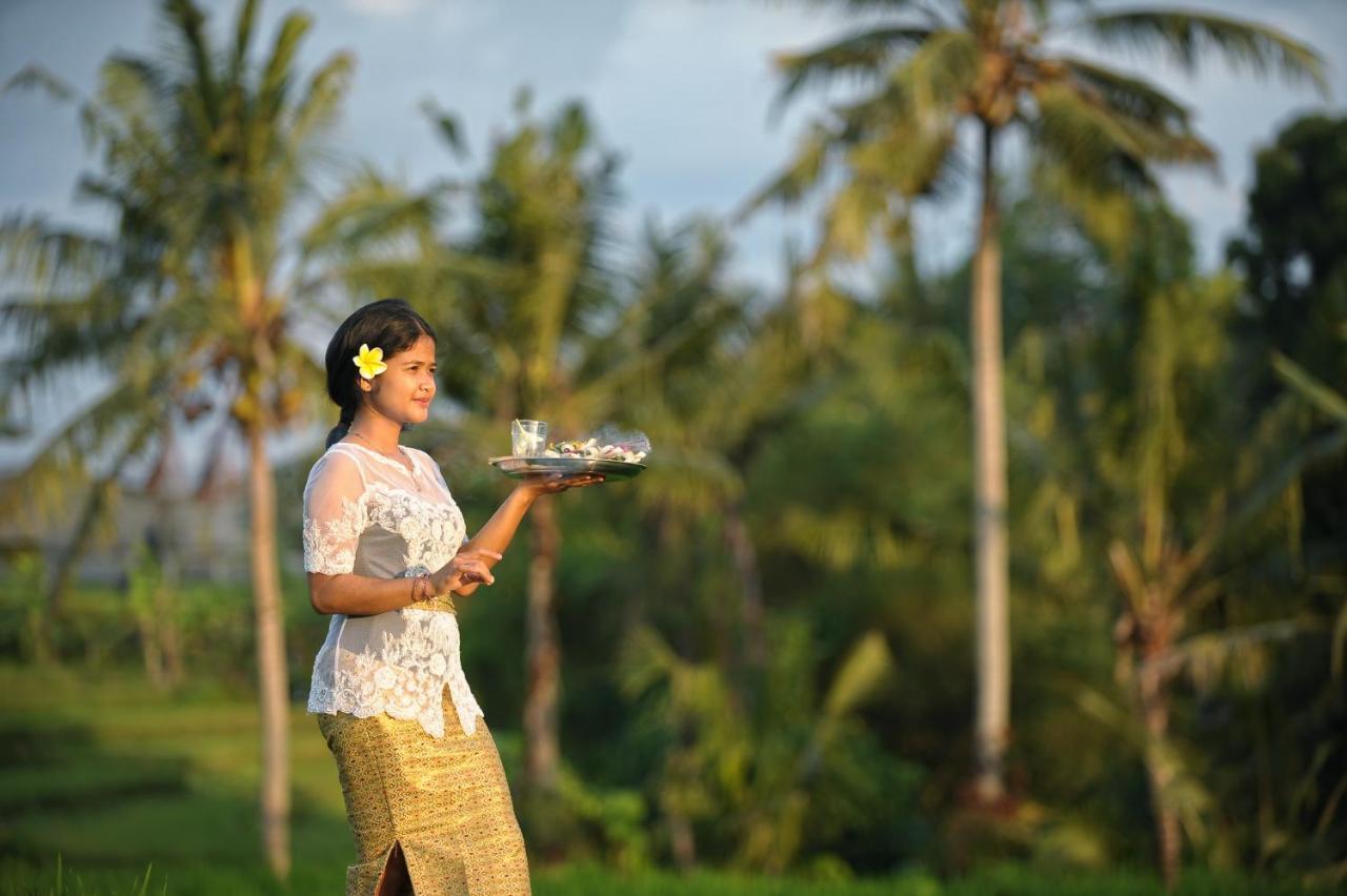 Jegeg Mas Bed & Breakfast Ubud  Ngoại thất bức ảnh